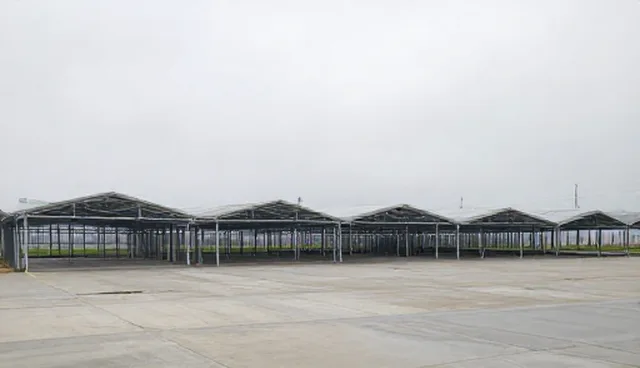 诊疗场景下的健康管理应用分析